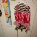 Elizee Zebra